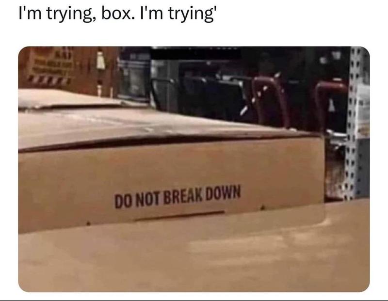 Review Thumbnail Image 0 313879955