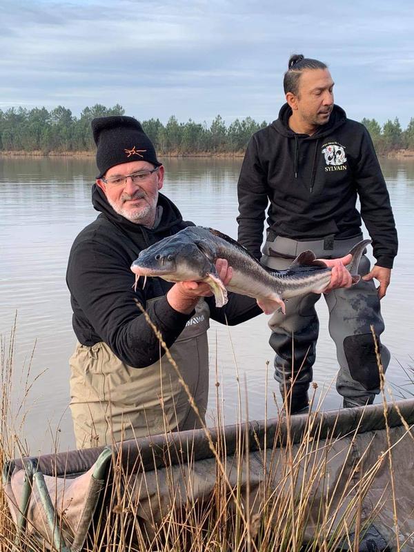 Stivali alti da pesca - waders pesca in mare Daiwa acquistare su