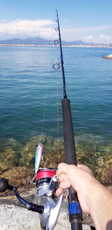 daiwa saltiga air portable