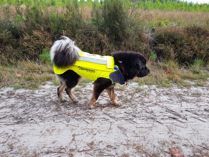 Gilet de protection pour chien online browning