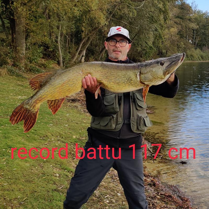 Headbanger FireTail 21cm