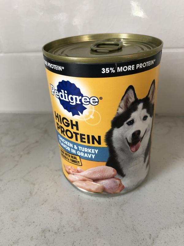 Pedigree high protein outlet review