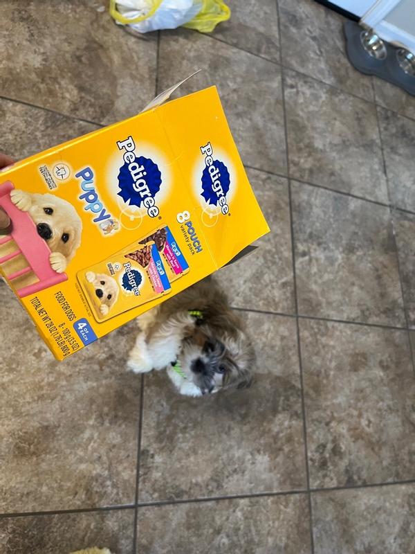 Pedigree puppy packs best sale