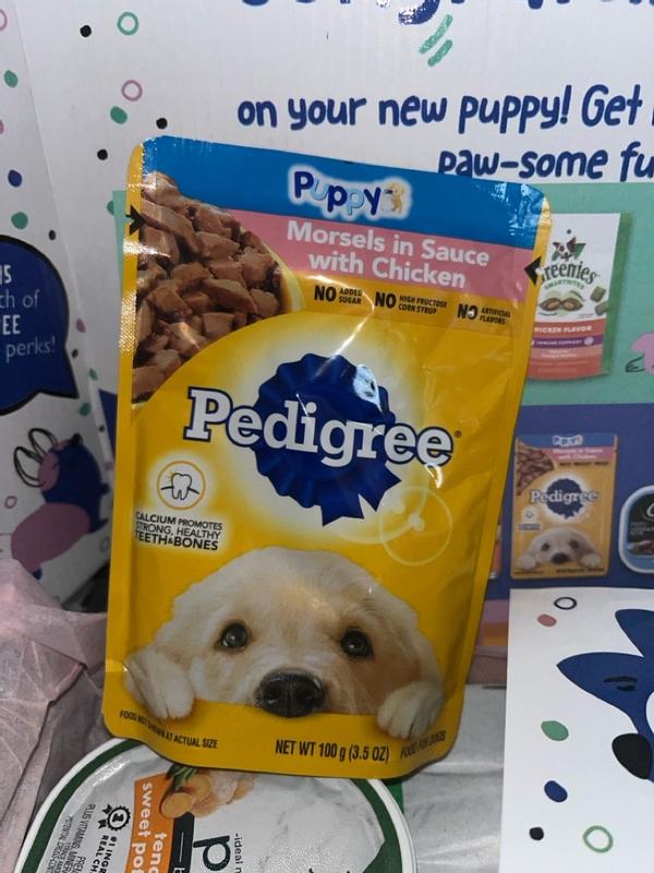 PEDIGREE Wet Dog Food Puppy Morsels in Sauce with Chicken