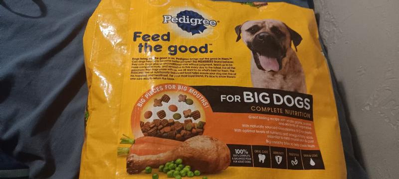 Pedigree for big dogs best sale