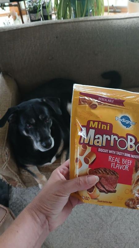 Pedigree marrobone dog fashion treats