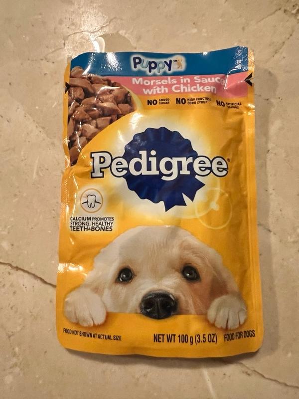 PEDIGREE Wet Dog Food Puppy Morsels in Sauce with Chicken