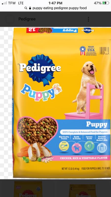 PEDIGREE® PUPPY™ Growth & Protection Dry Dog Food Chicken