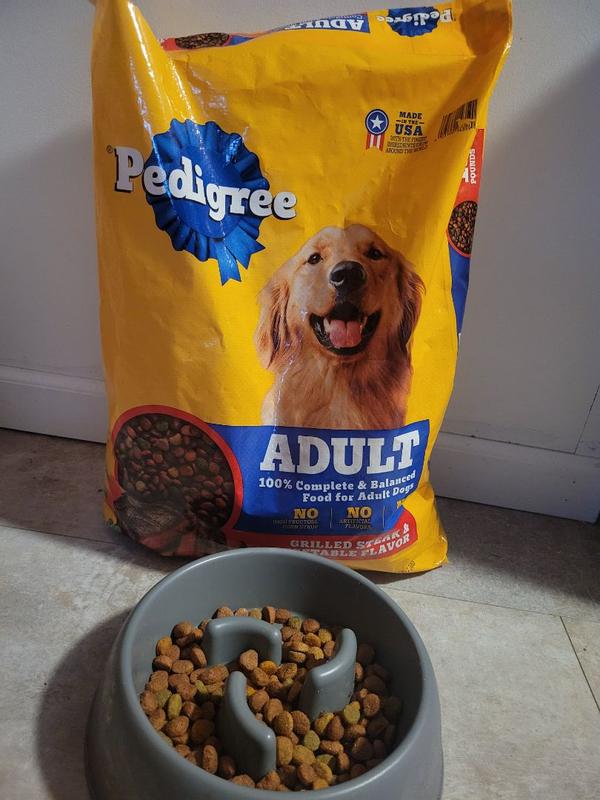 PEDIGREE Dry Dog Food Adult Grilled Steak Vegetable Flavor