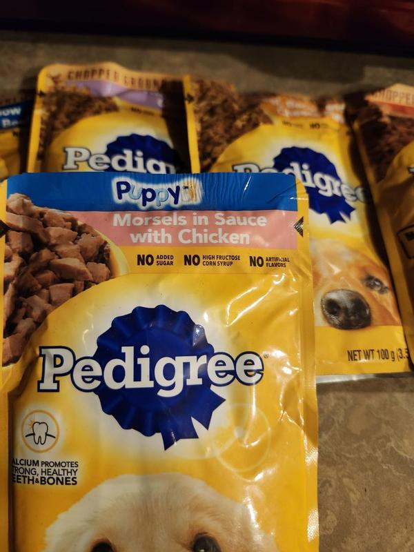 Pedigree combo meal pack best sale