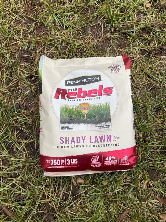 The seed that i picked