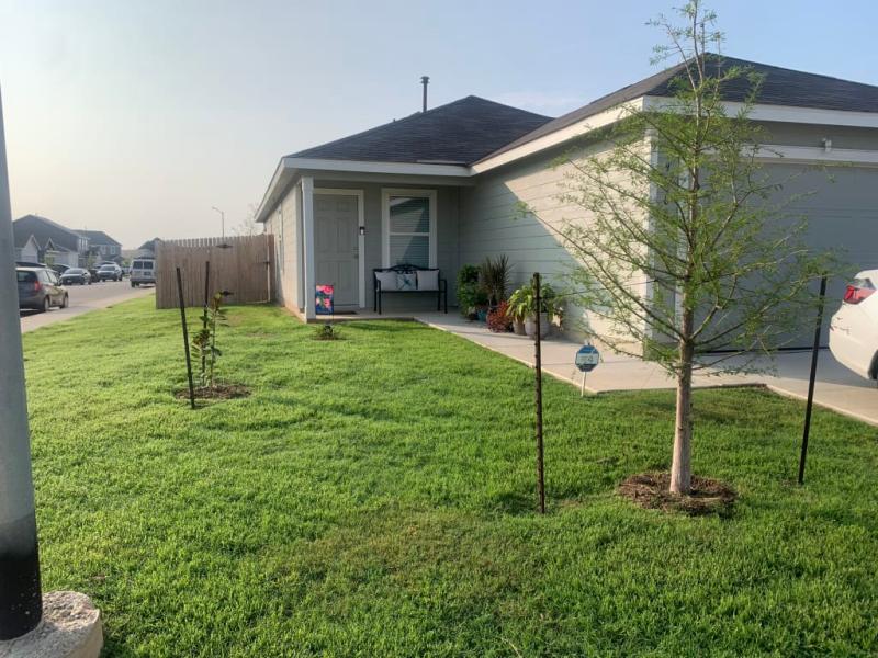 2 1/2 months after over seeding front yard