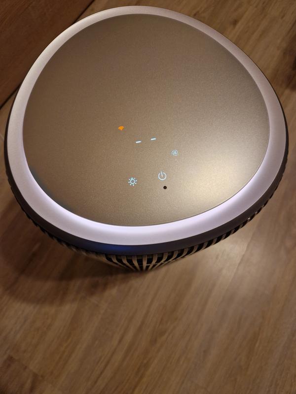 Revisione aperta modale 5 su 5