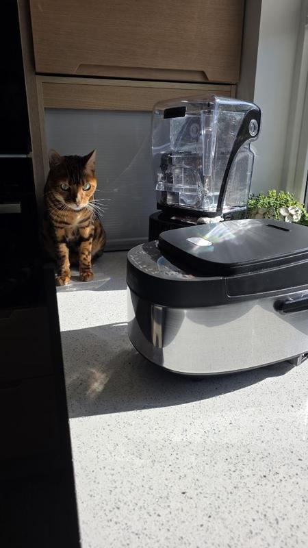 Cuociriso Philips Serie 3000 - 0.85L, 8 Programmi, Pentola Antaderente, Cottura Rapida 30 Minuti, Nero/Argento