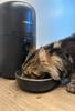 pienoiskuva