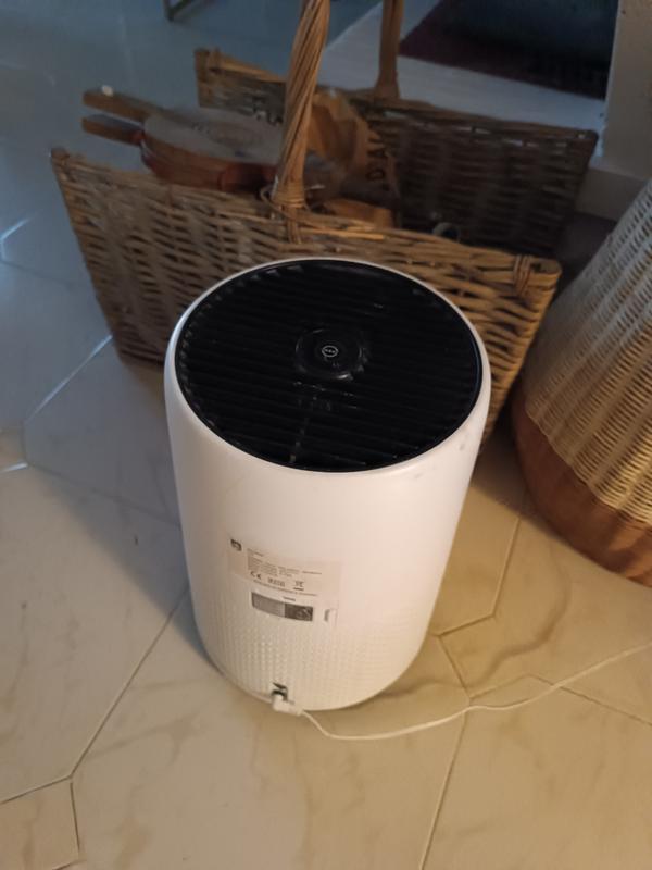 Revisione aperta modale 1 su 1