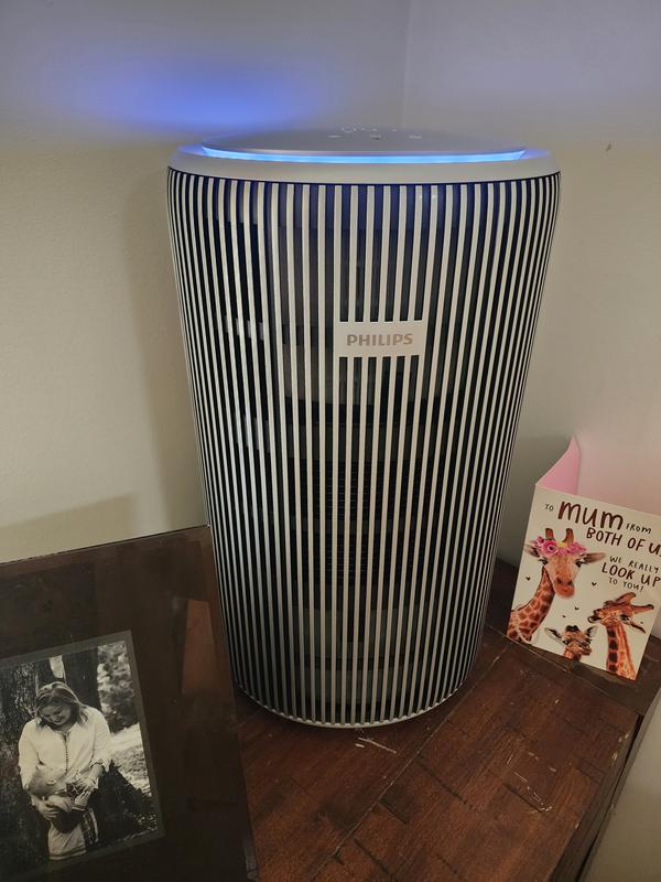 Revisione aperta modale 1 su 1