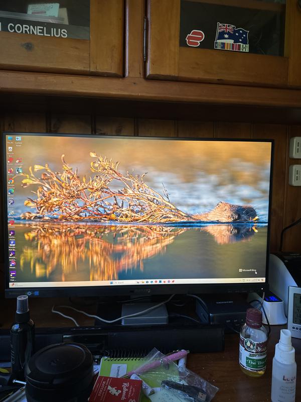 Monitor LCD monitor with USB-C docking 279P1/75 | Philips