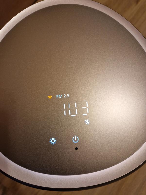 Revisione aperta modale 2 su 5