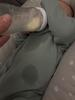 Just changed his clothes from the last bottle leaking and with this new bottle and new outfit, it happened again