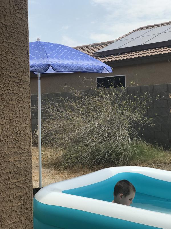 Photo submitted with review of product