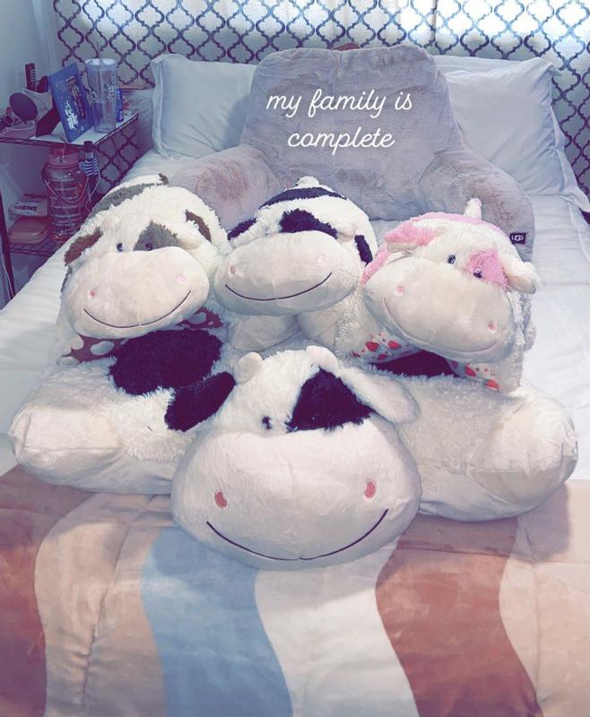 family of cows help with my anxiety :)