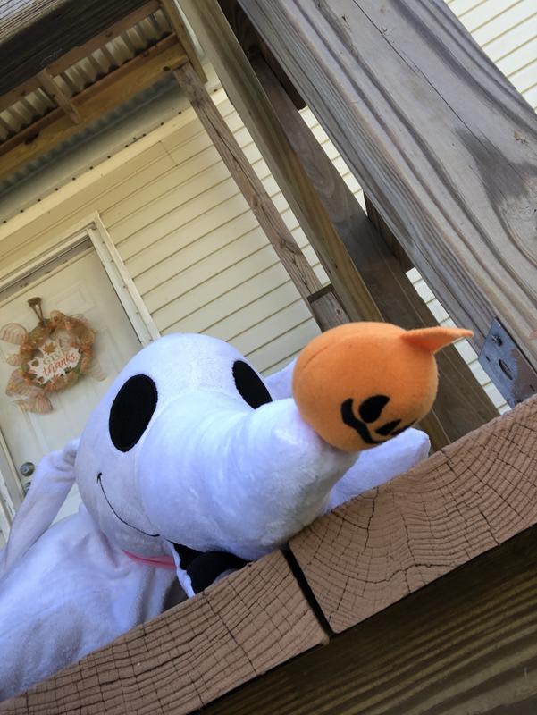 The little man sunbathing :]