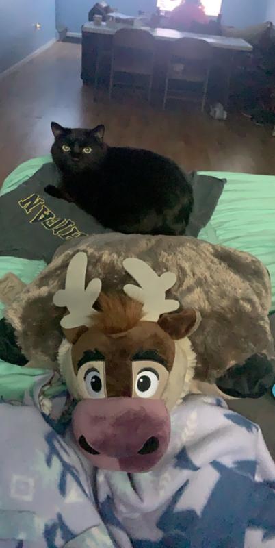 Basically the size of my 6yo cat