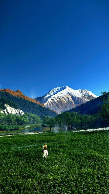 image #0 de Ghost of yoteï