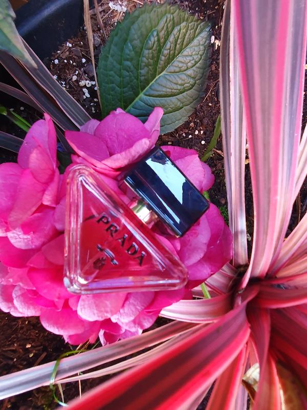 Prada Paradoxe Refill 100ml Eau de Parfum | UK Airports