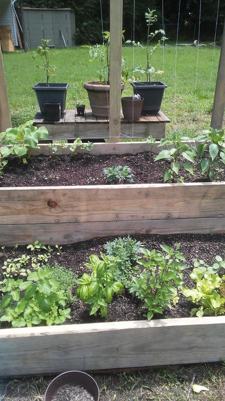 Word miracles on my garden