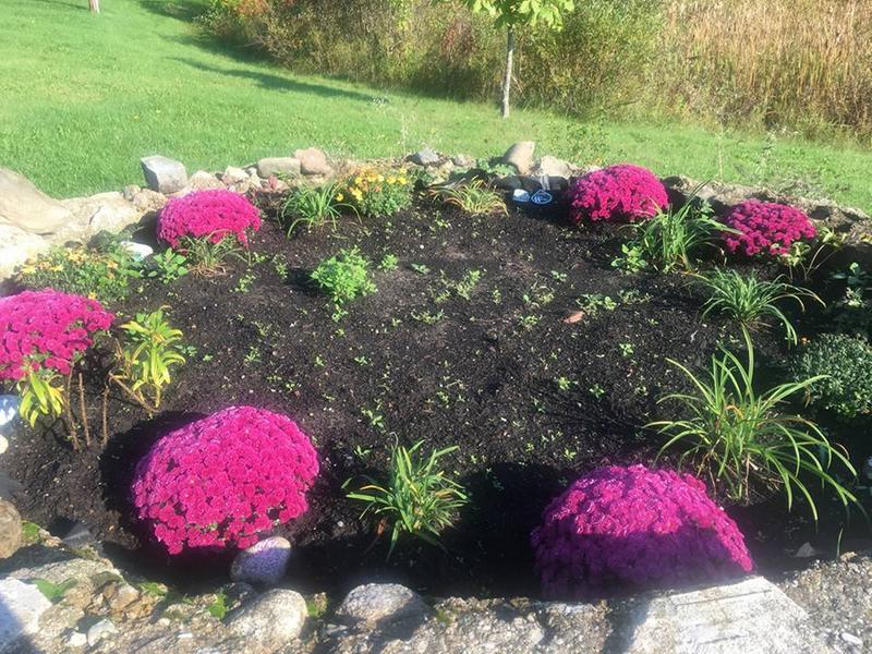 Our Garden inside an old Silo