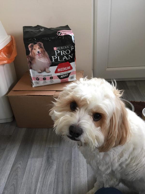 pro plan medium adult sensitive skin optiderma