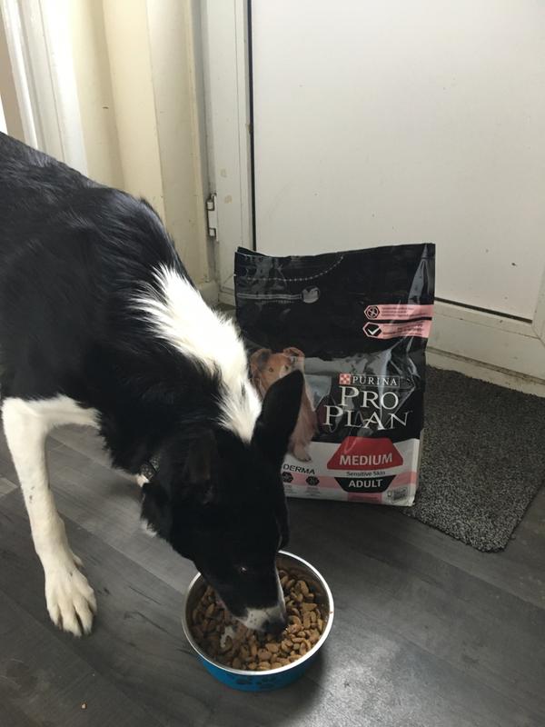 pro plan medium adult sensitive skin optiderma