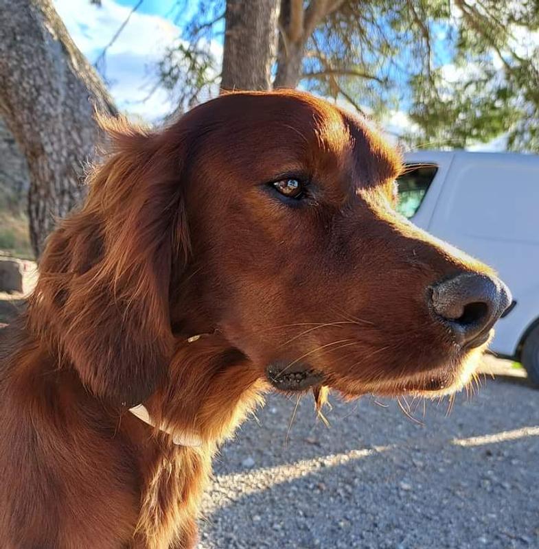 Ouvrir la fenêtre modale de l'avis 1 sur 1