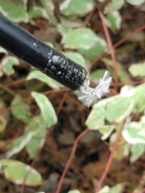 Photo submitted with review of product