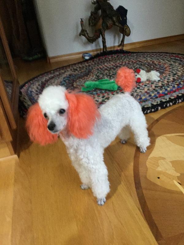 Looking pretty in orange