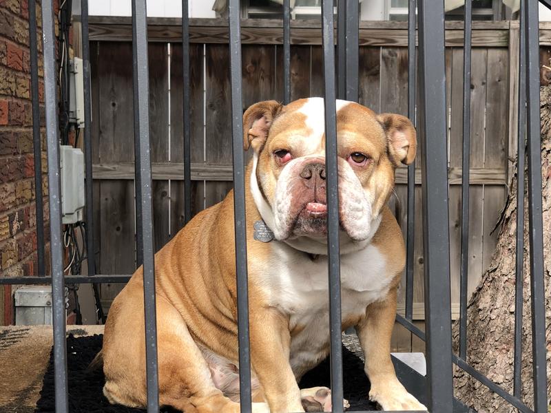 No escaping allowed!