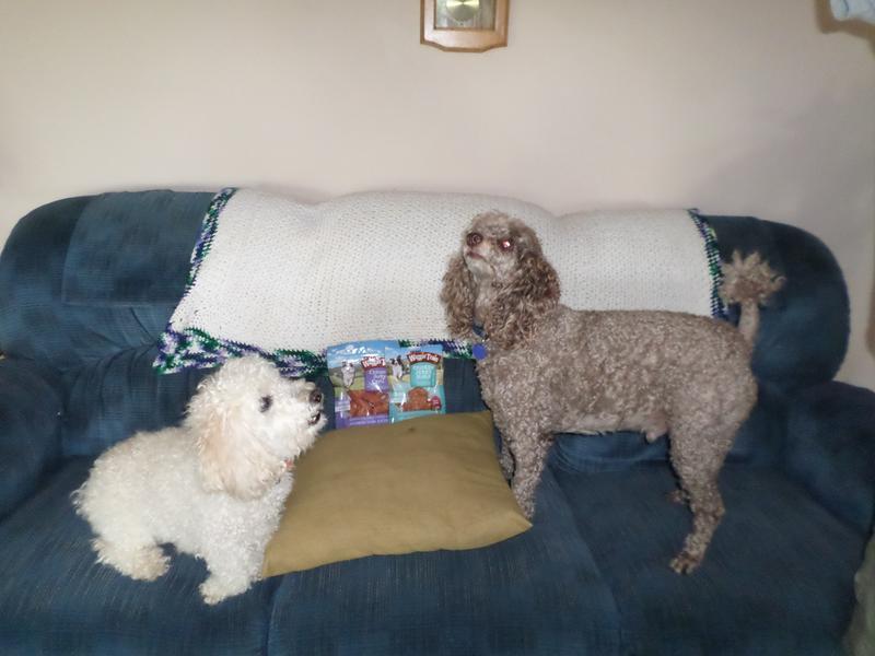 Chuckie and Duncan just love Waggin Train treats.