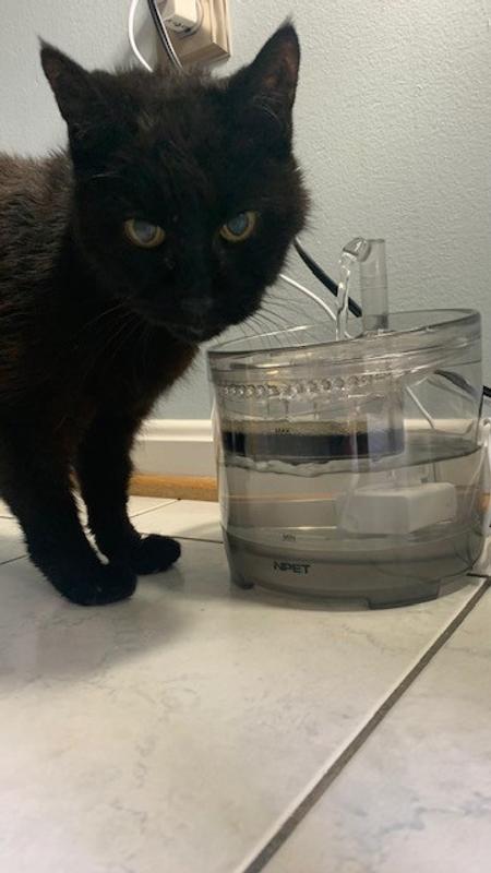 "I love my fountain, daddy. But where is my Hydra Care(tm)?"