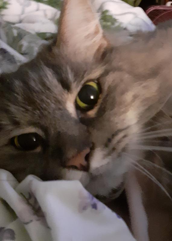 Mom is it soup time??? Please!!