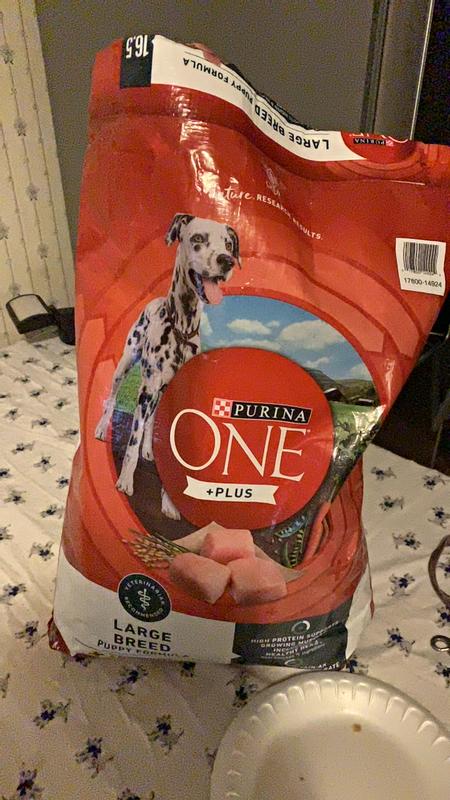 Purina one large breed reviews best sale