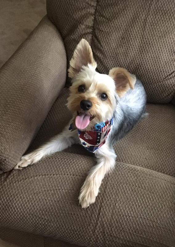 Did someone say treats?