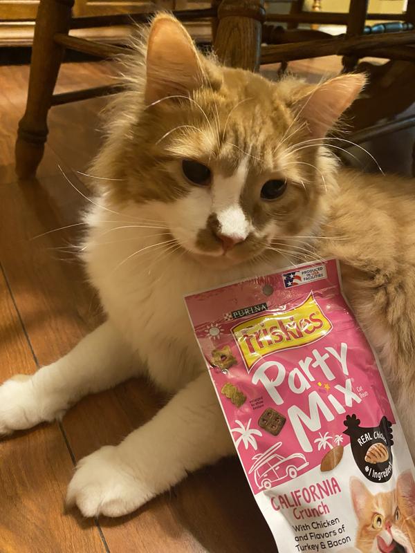 Corky loves his treats