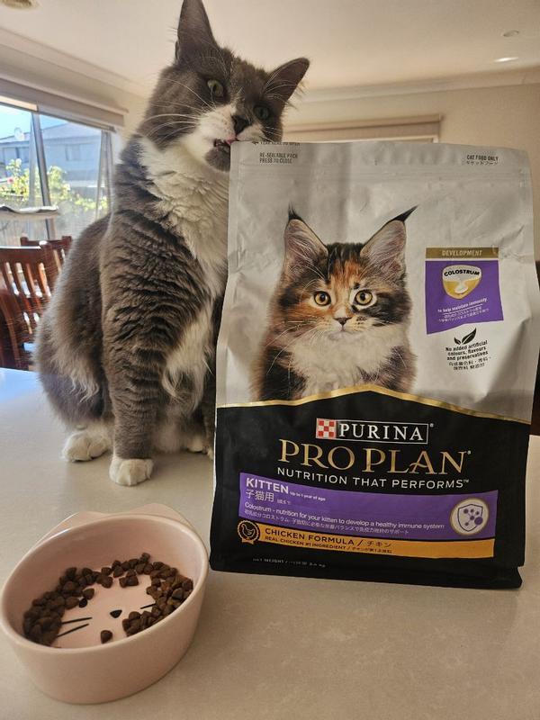 PRO PLAN Kitten Chicken Dry Cat Food | Purina New Zealand