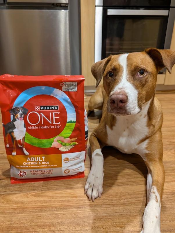 One Dog Purina One Chicken And Rice Walmart ONE Adult Chicken Rice Dry Dog  Food Purina