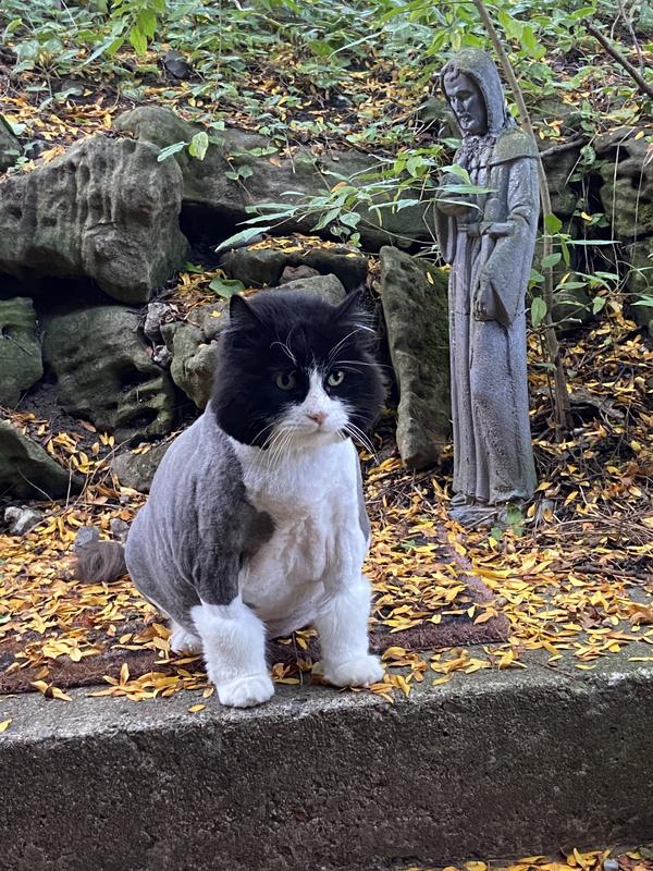 My embarrassing haircut.