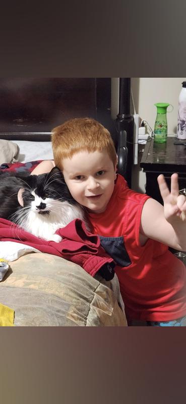 Minou with his favorite buddy Bumblebee