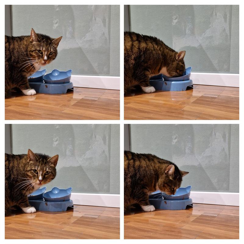 PURINA ONE & STERILCAT Katzenfutter Nass – Sensitive Mit Huhn & Für Kastrierte Katzen, Je 26×85 G