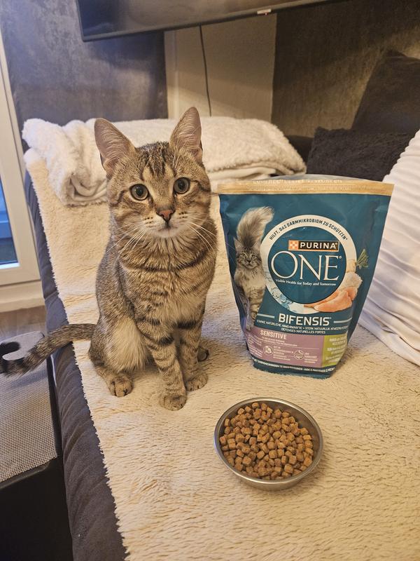 Katzenfutter trocken, Purina ONE SENSITIVE Truthahn, 1,5 kg - HORNBACH